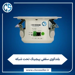 بلندگوی سقفی تحت شبکه